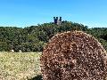 Gef�hrte Wanderung im Westerwald: "W6 Marmor, Stein und Eisen bricht"