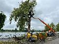 Neuwied: Servicebetriebe f�llen besch�digte Weide am Deich