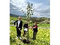 Zwei B�ume zum 200. Geburtstag von Mutter Rosa in Waldbreitbach