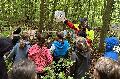 Wald-Jugendspiele in Koblenz: Kinder entdecken Natur spielerisch