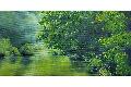 Natur des Westerwaldes inspiriert Ausstellung von Theresia M�ller-Kunz
