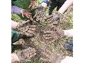 W�llerwaldwichtel brauchen B�rgschaft f�r Bauwagen-Projekt