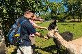 Bad Marienberg l�dt zu Basaltpark, Wildpark und E-Bike-Tour ein