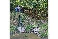 Regenr�ckhaltebecken am Fischbach sch�tzt Niedererbach besser vor Starkregen