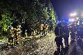 Waldbrand nahe Berod: Feuerwehr l�scht Flammen an der B8