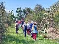 Herbstwanderung in Altenkirchen: Natur erleben am Tag der Deutschen Einheit