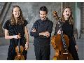 Schloss Montabaur: Villa Musica pr�sentiert Am�lio Trio im Rittersaal