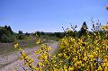 Erlebnisreicher Tag der Biologischen Vielfalt auf der Trupbacher Heide