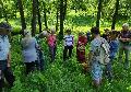 Naturkundliche Entdeckungstour im Birkenbachtal zieht viele Interessierte an
