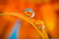Neuwied erstrahlt in Orange: Start der Sommer-Fotosafari im food hotel