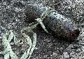 Weltkriegsbombe in Betzdorf entdeckt - Bahnverkehr gesperrt