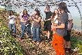 Birken-Honigsessen: Erntefest zum Saisonstart auf dem Demeter-Hof Sch�tzenkamp
