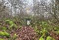 Rad-Wanderung zur Gruft von Graf Alexander bei Friedewald