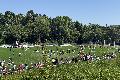 Fu�ballfestival in Hachenburg begeistert 300 Kinder