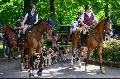 Tradition und Teamgeist: Die Rheinland Meute in Thalhausen an Pfingsten