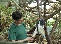 Neues Besucherprogramm im Zoo Neuwied: Der "Tierische Stundenplan"