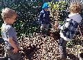Tag des Baumes in Bad H�nningen: Ein Fest der Natur in der Casa Natura