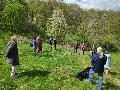 Faszinierende Entdeckungen am Waldrand: Natur-Exkursion im Birkenbachtal