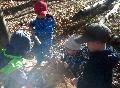 Abenteuer im Floratal: Kita-Kinder entdecken den Wald