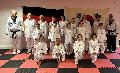 Erfolgreiche Farbgurtpr�fung im Taekwondo-Verein Wissen