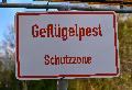 Vogelgrippe in Rheinland-Pfalz: Ausbreitung verlangsamt sich