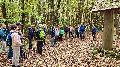 Erlebnisreiche Wanderung auf der Wäller Tour Stöffel-Route mit dem SWR