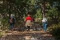 Herbstwanderung in Altenkirchen: Entdeckungstour zum Galgenberg