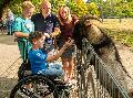 Wildpark Bad Marienberg erhält Auszeichnung für Barrierefreiheit