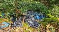 Illegale Asbestentsorgung im Markwald von Welschneudorf