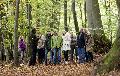 Waldführung im FriedWald Wildenburger Land: Naturbestattung erleben
