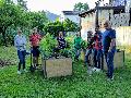 Klimafreundlicher Naschgarten in Bad Honnef ldt zum Ernten ein