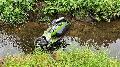 Motorroller in Hachenburger Bachlauf entdeckt