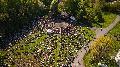 Prisma 2025: Groes Pfadfinderleiter-Treffen in Westernohe
