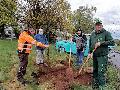 Zukunftsbume im Wildpark Bad Marienberg gepflanzt