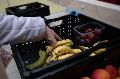 Rckgang bei Lebensmittelspenden: Tafeln in Rheinland-Pfalz unter Druck