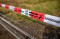 Afrikanische Schweinepest in Rheinland-Pfalz: Anhaltende Sorgen und Manahmen