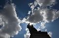 Sommerlicher Sonntag in Rheinland-Pfalz mit Temperaturen bis 31 Grad