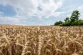 Sommerliche Temperaturen kehren nach Rheinland-Pfalz zurck