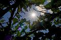 Sommerliches Wochenende in Rheinland-Pfalz erwartet