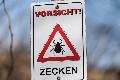 Anstieg der Borreliose-Flle in Rheinland-Pfalz alarmiert Experten