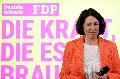 Rheinland-Pfalz: FDP w�hlt neue Parteif�hrung nach Wahldebakel