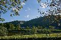 Hochsommerliche Temperaturen zu Pfingsten erwartet