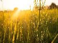 Sonnige Aussichten f�r Rheinland-Pfalz: Temperaturen bis 27 Grad erwartet
