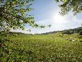 Sommerliches Wetter am ersten Septemberwochenende in Rheinland-Pfalz erwartet