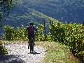 Mildes Herbstwetter in Rheinland-Pfalz erwartet