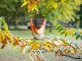 Herbstwetter in Rheinland-Pfalz: Sonne und Regen im Wechsel
