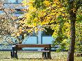 Mildes Herbstwetter in Rheinland-Pfalz: Sonne, Wolken und Nebel