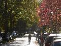 Ruhiges Herbstwetter in Rheinland-Pfalz: Sonne und Wolken im Wechsel