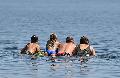 Wasserqualit�t in Rheinland-Pfalz: Meiste Badeseen bieten unbedenklichen Badespa�
