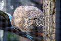 F�tterungsverbot in Zoos: Eine ernste Angelegenheit f�r Tier und Mensch